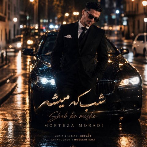 دانلود آهنگ مرتضی مرادی شب که میشه